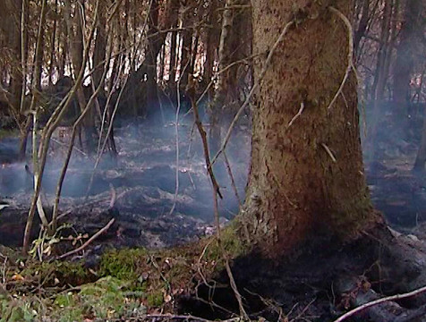 Желтый уровень погодной опасности продлили в Калужской области