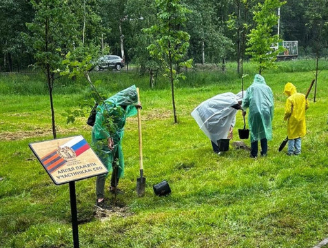 Аллею памяти участников СВО открыли в калужском микрорайоне Кубяка