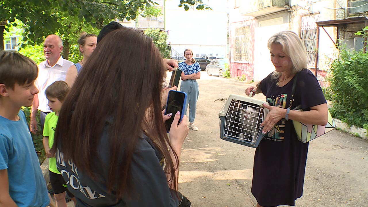 Запертого в опечатанной квартире в Калуге кота удалось спасти | 09.07.2024  | Новости Калуги - БезФормата