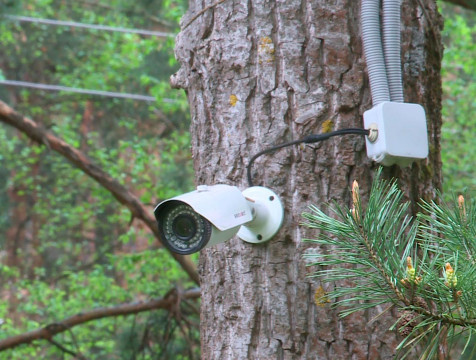 В калужских лесах установят камеры для отлова эконарушителей