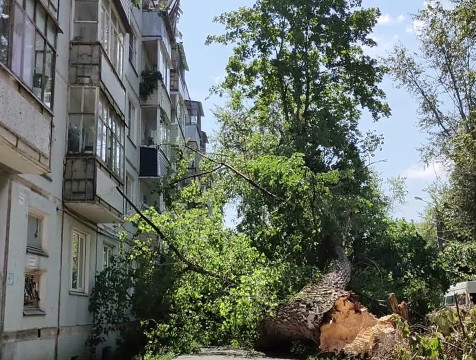 Дерево упало на жилой дом в Калуге