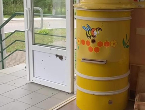 Пчелы атаковали медынский Музей пчелы