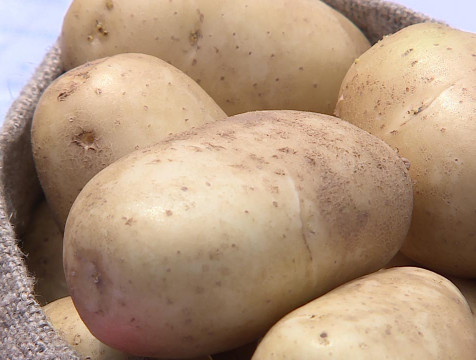 Праздник картофеля прошел в Бабынине