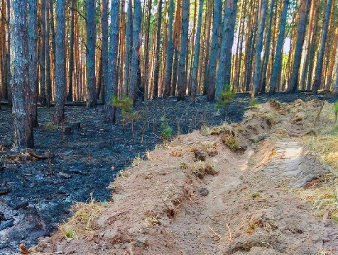 В регионе из-за угрозы пожаров продлили желтый уровень опасности