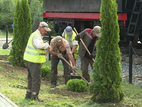 Молодые туи высадили в сквере 50-летия ВЛКСМ в Калуге