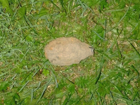 3 боеприпаса времен Великой Отечественной войны нашли в Калужской области