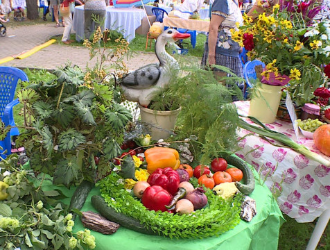 Победителей конкурса 