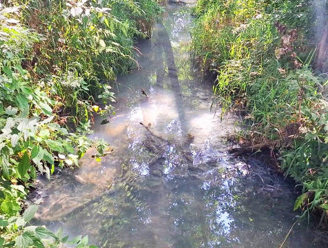 Проблемой загрязнения речки Городенки занялась калужская прокуратура