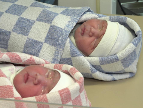 Почти 300 калужан родились в августе