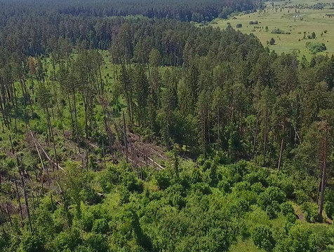 Чрезвычайный класс пожарной опасности объявлен в Калужской области