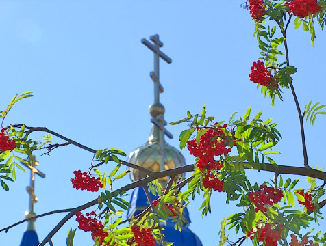 Новые температурные рекорды осени ждут Калугу