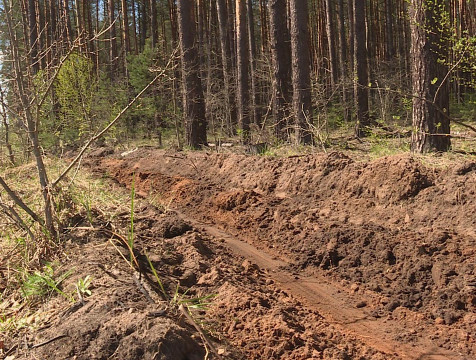 Чрезвычайный класс пожарной опасности продлили в Калужской области