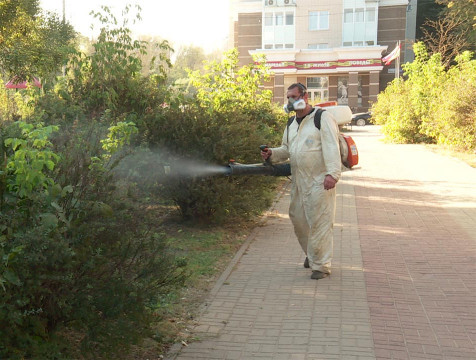 В калужских скверах и парках проходит сезонная обработка от клещей