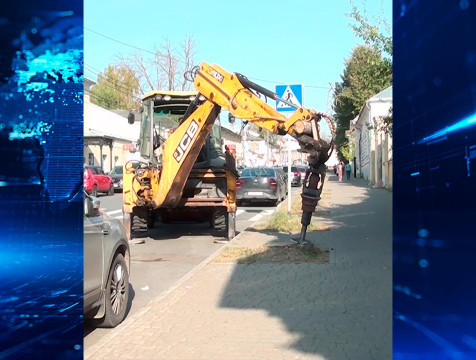 Пни от спиленных деревьев начали удалять в Калуге