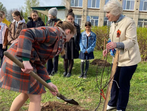 Сады памяти Кировского района стали победителями всероссийского конкурса