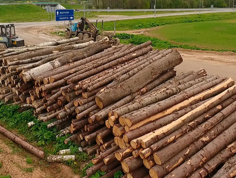 Прокуратура выявила 6 незаконных договоров о заготовке древесины