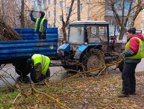 Аварийные деревья продолжают удалять в Калуге