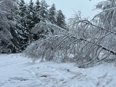 В результате разгула стихии в Калужской области отключены около 230 ЛЭП