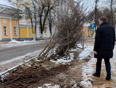 За повреждение деревьев в Калуге оштрафовали подрядчика