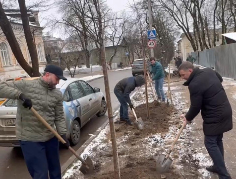 Взамен сломанных яблонь на улице Воскресенской высадили новые крупномеры