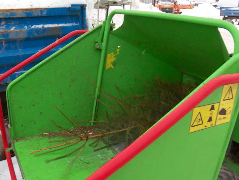 Новогодние елки можно будет сдать на переработку