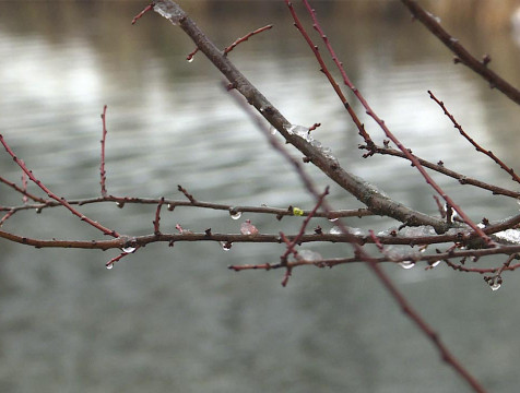 Снежный покров в Калужской области уменьшится до 5 мм