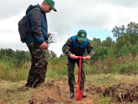 Лесоперерабатывающие предприятия региона помогут школьным лесничествам