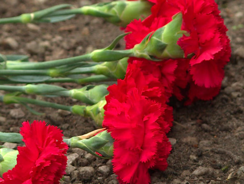 Семьям погибших лесников Калужская область выплатит по миллиону рублей