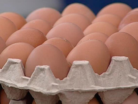 На 2,4% больше яиц стали производить в Калужской области