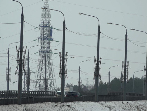 Административное дело после удара током собаки возбуждено в Калуге