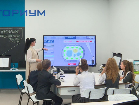 Реализацию нацпроектов в Калужской области назвали удовлетворительной