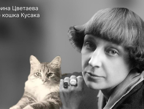 День любви к домашним питомцам отмечают 20 февраля