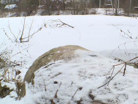 Состояние пруда в деревне Мешково Ферзиковского района внушает опасения