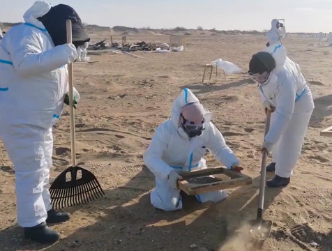 Волонтеры из Обнинска помогают очищать Черноморское побережье от мазута