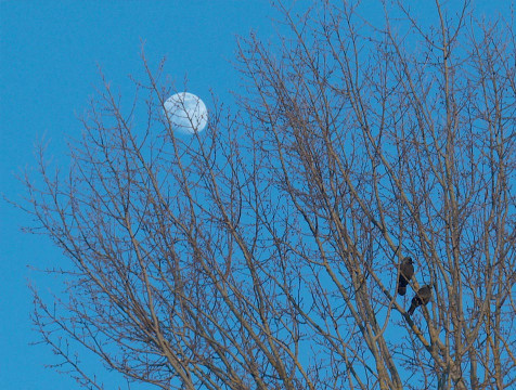 Мартовские холода вернутся к середине месяца