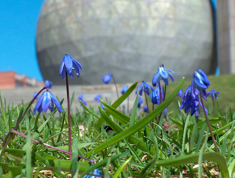 Аномальное тепло продержится в Калужской области до вторника