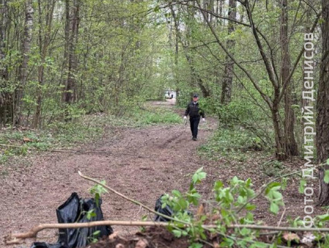 В Анненках ограничили въезд машин в лесную зону