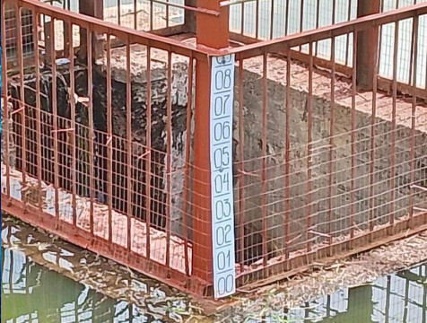 О безопасности обнинских уток позаботились в городском парке