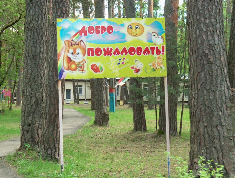 Владислав Шапша поручил ускорить покупку детского лагеря 