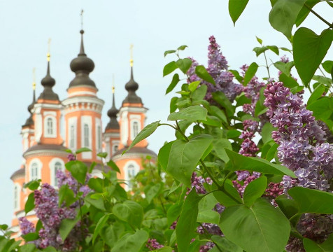 Летнее тепло вернётся в Калугу к выходным