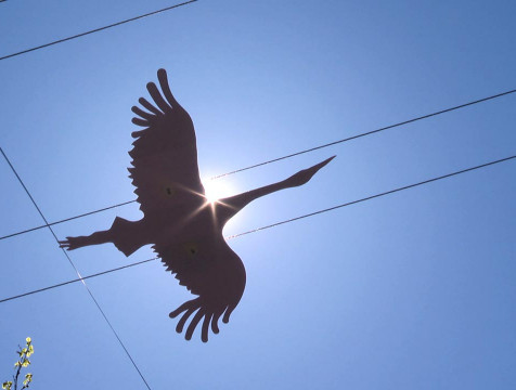 Последняя неделя весны в Калужской области будет жаркой и сухой