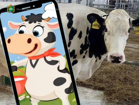 Корова-рекордсменка стала талисманом калужского минсельхоза