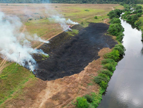 Площадь пожаров в калужских лесах составляет более 7 гектаров
