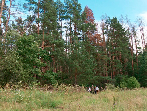 Умеренно тёплая погода к концу недели повысит градус
