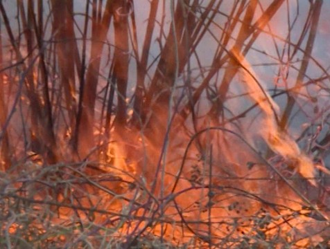 Высокая пожарная опасность сохранится в Калужской области