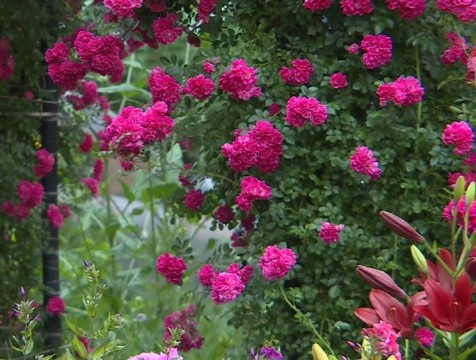 Продолжается прием заявок для участия в конкурсе 