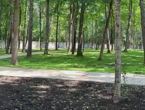 Территорию калужского центра реабилитации бойцов СВО оснастят терренкуром