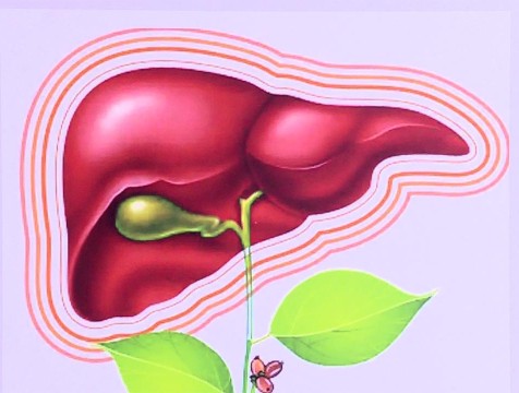 День борьбы с гепатитом отмечают во всём мире