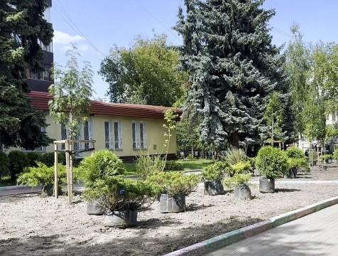 Ландшафтная композиция появилась на улице Ленина в Калуге