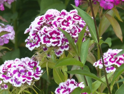 Порядка 220 человек подали заявки на конкурс 